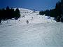 Pezz13Mar05 009